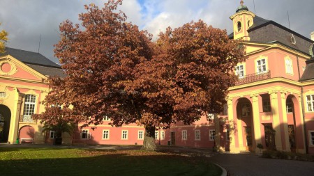 Zámek-Dobříš